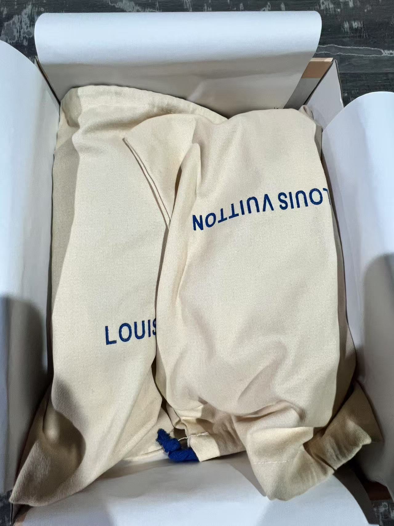 Louis Vuitton LV Trainer Panda.